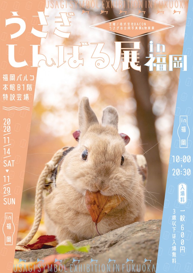 うさぎしんぼる展 in 福岡